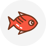 ������ҵ